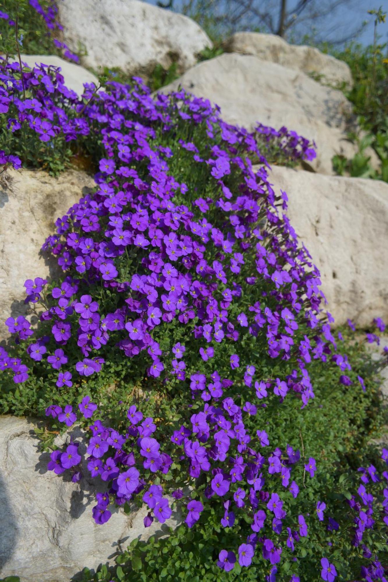 Nikolas' Valley Cornuda Εξωτερικό φωτογραφία